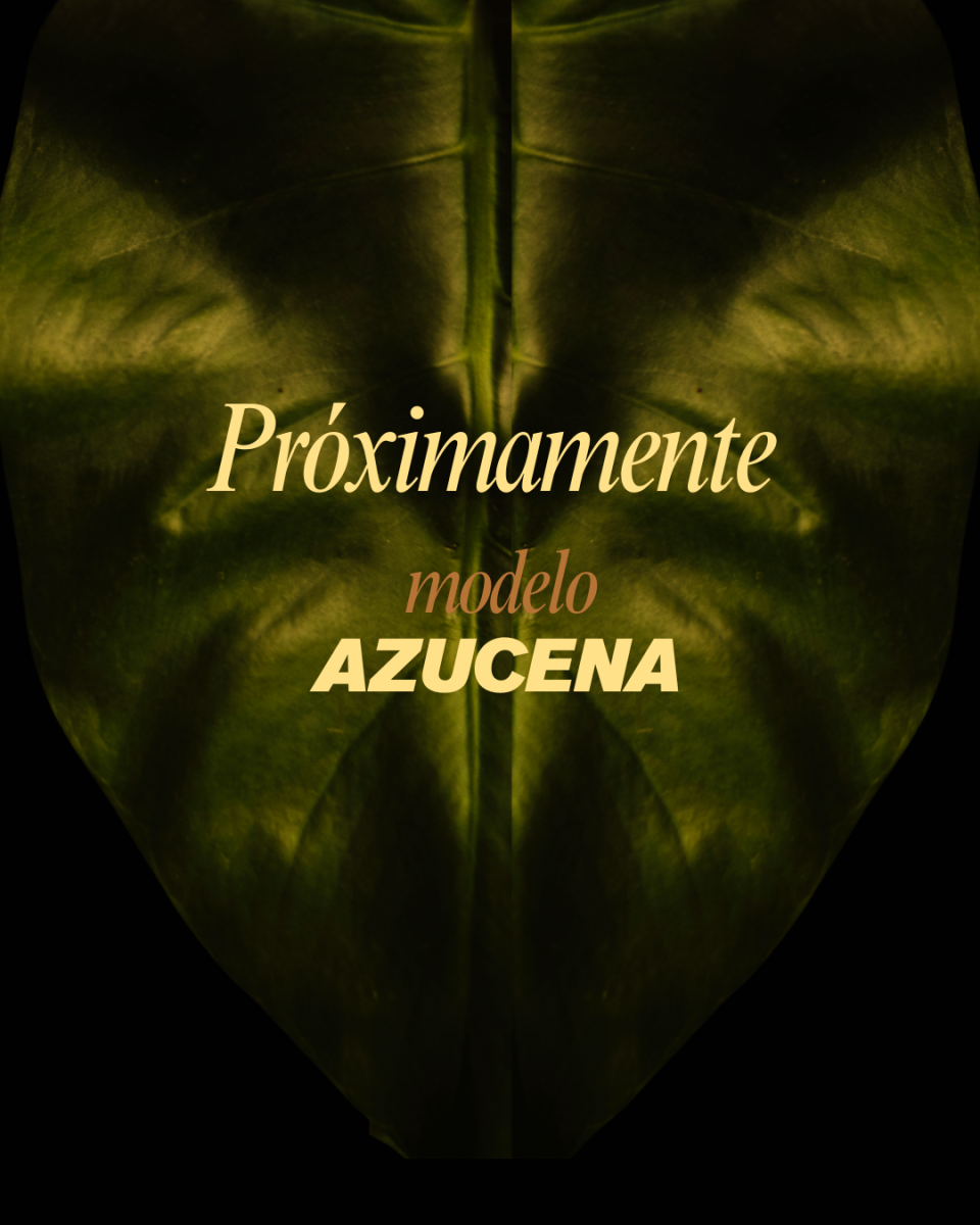 Azucena